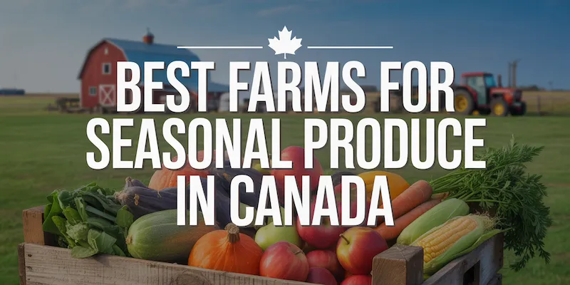 Best Farms For Seasonal Produce in Canada